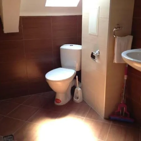 Apartment Ikos *
